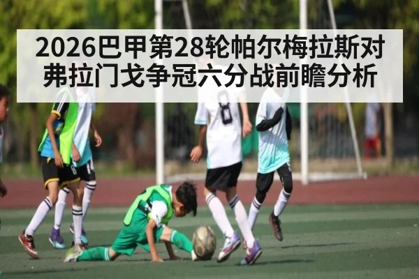 2026巴甲第28轮帕尔梅拉斯对弗拉门戈争冠六分战前瞻分析